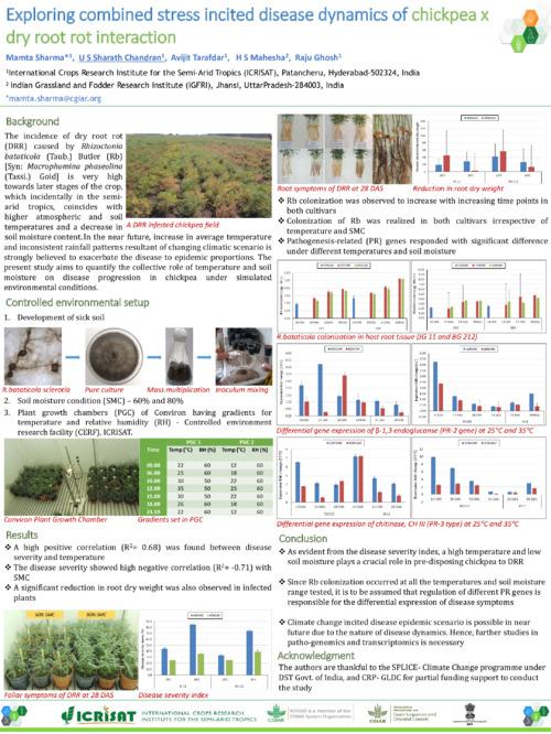 Exploring combined stress incited disease dynamics of chickpea x dry root rot interaction