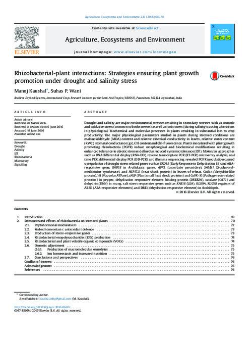 Rhizobacterial-plant interactions: Strategies ensuring plant growth promotion under drought and salinity stress