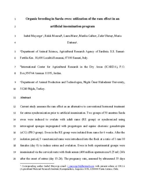 Organic breeding in Sarda ewes: utilization of the ram effect in an artificial insemination program
