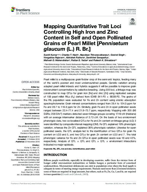 Mapping Quantitative Trait Loci Controlling High Iron and Zinc Content in Self and Open Pollinated Grains of Pearl Millet (Pennisetum glaucum (L.) R. Br.)