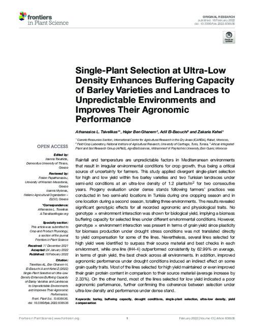 Single-Plant Selection at Ultra-Low Density Enhances Buffering Capacity of Barley Varieties and Landraces to Unpredictable Environments and Improves Their Agronomic Performance