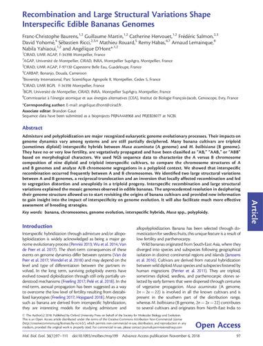 Recombinations and large structural variations shape the mosaic genomes of interspecific edible bananas