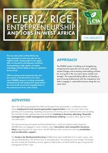Pejeriz: Rice, entrepreneurship and jobs in West Africa