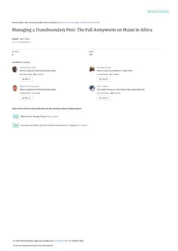 Managing a transboundary pest: the fall armyworm on maize in Africa