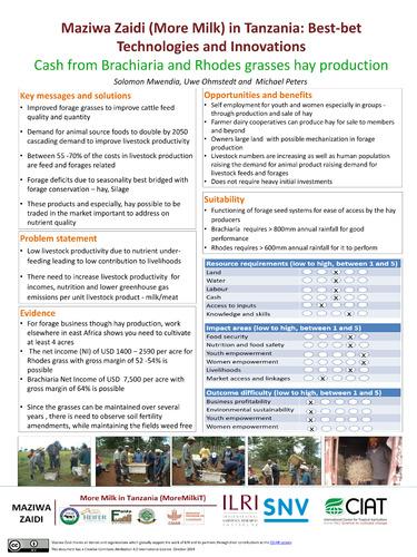 Maziwa Zaidi (More Milk) in Tanzania: Best-bet Technologies and Innovations / Cash from Brachiaria and Rhodes grasses hay production