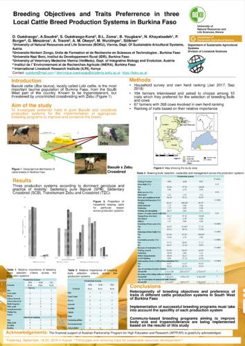 Breeding objectives and practices in three cattle production systems in Burkina Faso