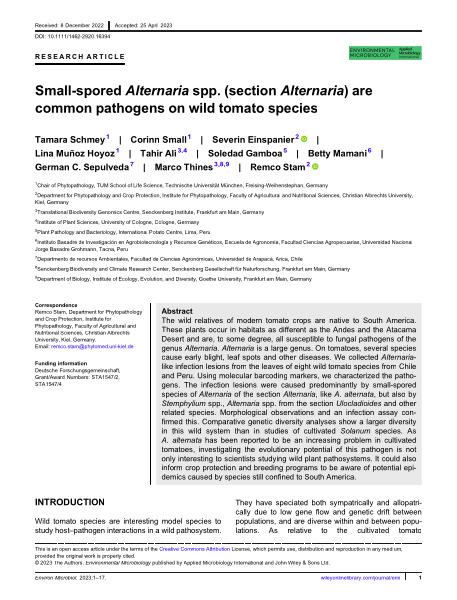 Small-spored Alternaria spp. (section Alternaria) are common pathogens on wild tomato species