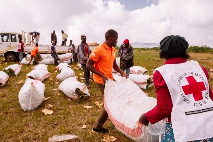 Reaching humanitarian and neglected places with the nutritious and resilient sweetpotato: The case of the Cyclone Idai in Manica and Sofala Provinces, Mozambique