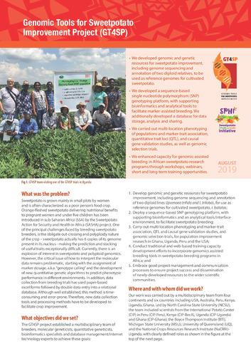 Genomic tools for sweetpotato improvement project (GT4SP).