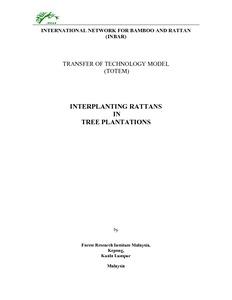 Interplanting rattans (1)