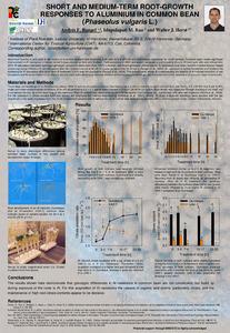 Short and medium-term root-growth responses to aluminium in common bean (phaseolus vulgaris L.)