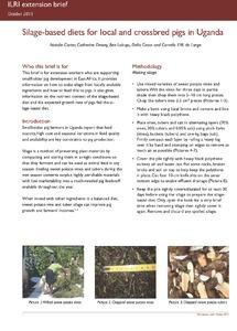 Silage-based diets for local and crossbred pigs in Uganda