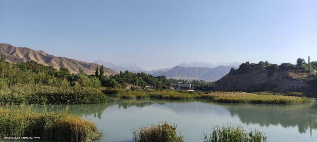 From gray infrastructure to nexus planning