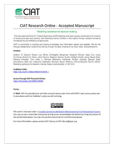 Realizing resilience for decision-making