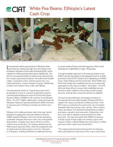 White pea beans: Ethiopia's latest cash crop