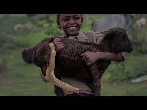 Plant Health for One Health