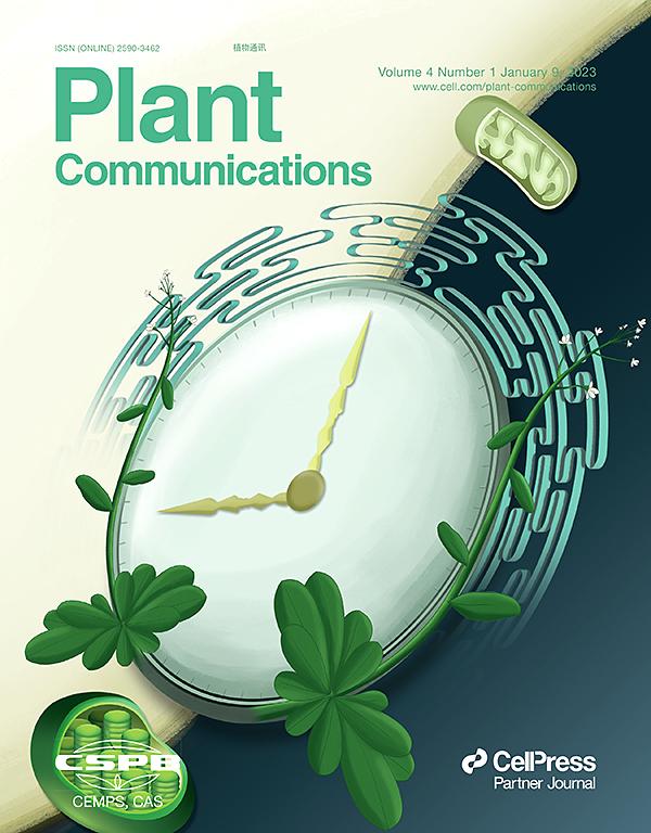 Post-genomics revolution in the design of premium quality rice in a high-yielding background to meet consumer demands in the 21st century