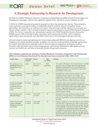 Federal Ministry for Economic Cooperation and Development (BMZ) and the Deutsche Gesellschaft für Internationale Zusammenarbeit (GIZ): a strategic partnership in research for development