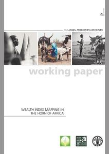 Wealth index mapping in the Horn of Africa