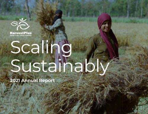 Scaling Sustainably: HarvestPlus 2021 annual report