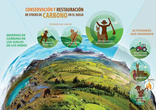 Conservación y restauración de stocks de carbono en el suelo