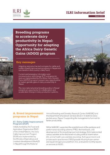 Breeding programs to accelerate dairy productivity in Nepal: Opportunity for adapting the Africa Dairy Genetic Gains (ADGG) program