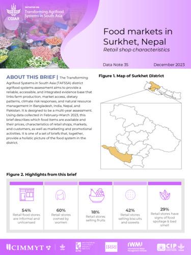 Food markets in Surkhet, Nepal: Retail shop characteristics