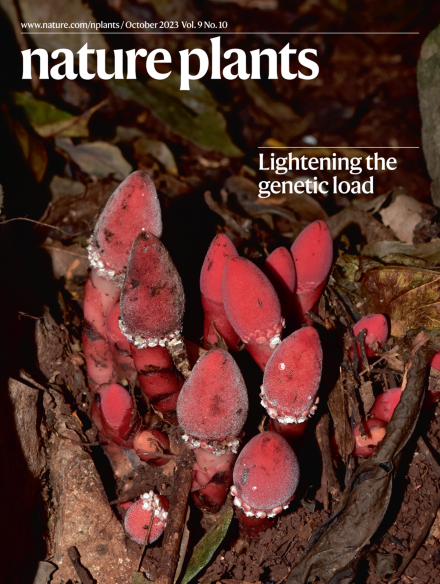 Demonstrating the benefit of agricultural biotechnology in developing countries by bridging the public and private sectors