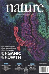 Carbon storage by introduced deep-rooted grasses in the South American savannas