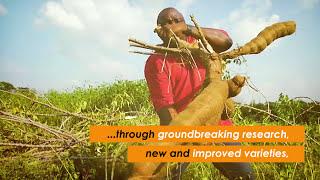 50 years of improving lives of farm families in Africa