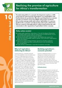 Realising the promise of agriculture for Africa’s transformation