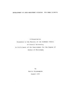 Development of pest-resistant potatoes for warm climates