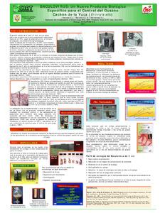 Baculovirus : Un nuevo producto biológico específico para el control del gusano cachón de la yuca (Erinnys ello)