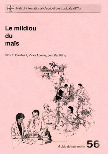 How Akwa Ibom overcame a crisis in cassava production