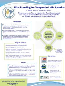 Rice breeding for temperate Latin America