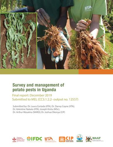 Survey and management of potato pests in Uganda (CC3.1.2.2 - output no. 12557)