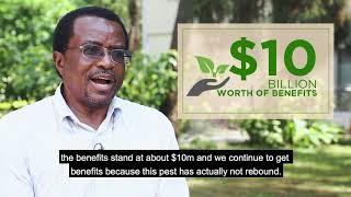 IITA's impact on plant health