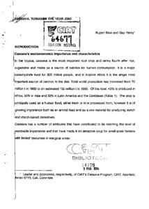 Cassava : towards the year 2000