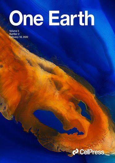 From wastewater to resource