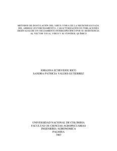 Métodos de inoculación del virus (VNRA) de la necrosis rayada del arroz (entorchamiento), caracterización de poblaciones derivadas de un cruzamiento interespecífico por su resistencia al vector y/o al virus y su control químico. Tesis (Ingeniero Agrónomo)