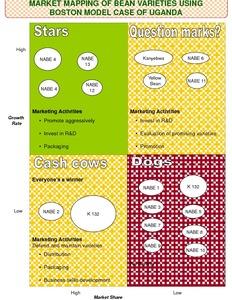 Market mapping of bean varieties using Boston model case of Uganda