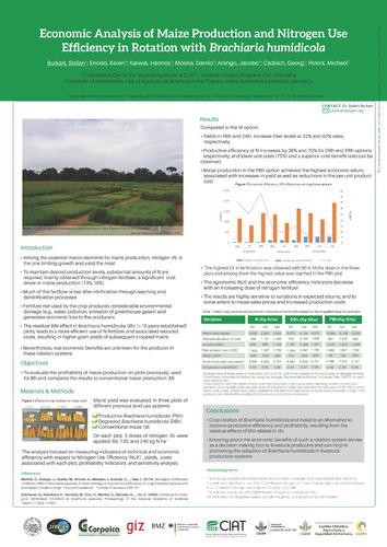 Economic analysis of maize production and nitrogen use efficiency in rotation with Brachiaria humidicola